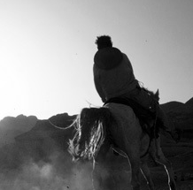 账号充值中心的在线手机号轰炸测试